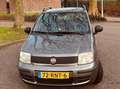 Fiat Panda 1.2 Active Argent - thumbnail 6