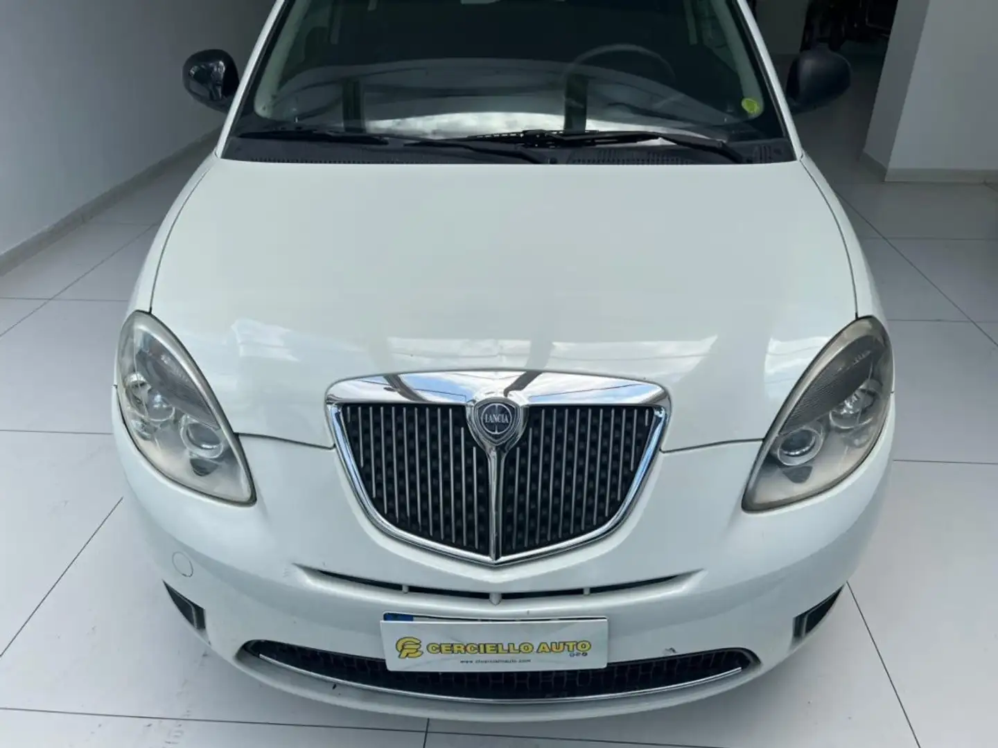 Lancia Ypsilon 1.3 MJT 75 CV Diva Grigio - 1