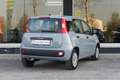 Fiat Panda Panda  1.2 Easy 69cv AUTO IN ARRIVO - thumbnail 5