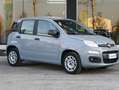 Fiat Panda Panda  1.2 Easy 69cv AUTO IN ARRIVO - thumbnail 7