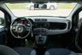 Fiat Panda Panda  1.2 Easy 69cv AUTO IN ARRIVO - thumbnail 12