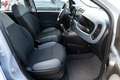 Fiat Panda Panda  1.2 Easy 69cv AUTO IN ARRIVO - thumbnail 11