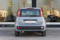 Fiat Panda Panda  1.2 Easy 69cv AUTO IN ARRIVO - thumbnail 4