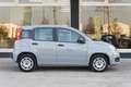 Fiat Panda Panda  1.2 Easy 69cv AUTO IN ARRIVO - thumbnail 6