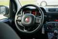 Fiat Panda Panda  1.2 Easy 69cv AUTO IN ARRIVO - thumbnail 13