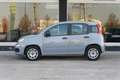Fiat Panda Panda  1.2 Easy 69cv AUTO IN ARRIVO - thumbnail 2