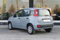 Fiat Panda Panda  1.2 Easy 69cv AUTO IN ARRIVO - thumbnail 3