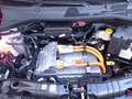 Fiat 500e Red Aktionsleasing Navi Memory Sitze Apple CarPlay Rot - thumbnail 13