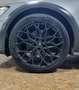 Audi A6 allroad 3.0 TDI BUSINESS QUATTRO 272CV s-tronic - thumbnail 13