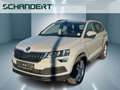 Skoda Karoq 1.5 TSI Style DSG AHK Klimaautom Sitzhzg. Grau - thumbnail 1