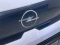 Opel Combo N1 Cargo 1.5TD S&S L 650 100 Blanco - thumbnail 14