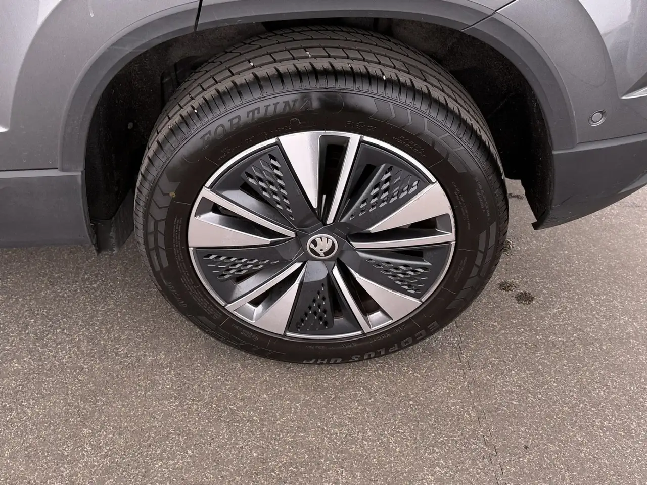 Skoda Karoq 1.5 TSI Tour Aut MATRIX AHK RADAR NAVI PDC, миниатюра 27