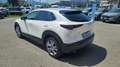 Mazda CX-30 2.0L Skyactiv-G M Hybrid 2WD Executive Bianco - thumbnail 6