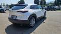 Mazda CX-30 2.0L Skyactiv-G M Hybrid 2WD Executive Bianco - thumbnail 4