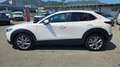 Mazda CX-30 2.0L Skyactiv-G M Hybrid 2WD Executive Bianco - thumbnail 7