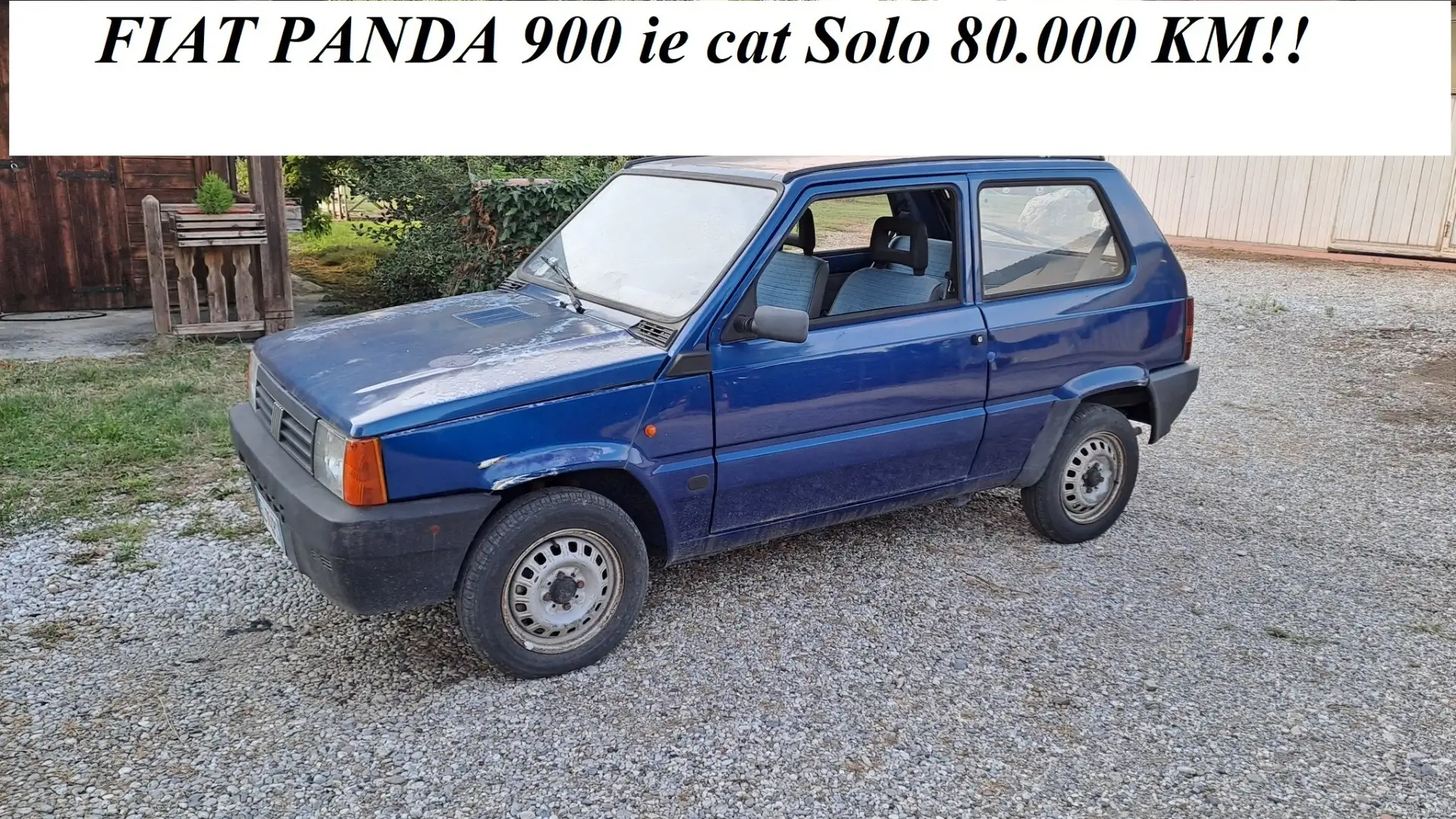 Fiat Panda 900i cat Blu/Azzurro - 1