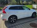 Volvo XC60 XC60 D4 Momentum R-Design Geartronic Momentum R-De Weiß - thumbnail 1