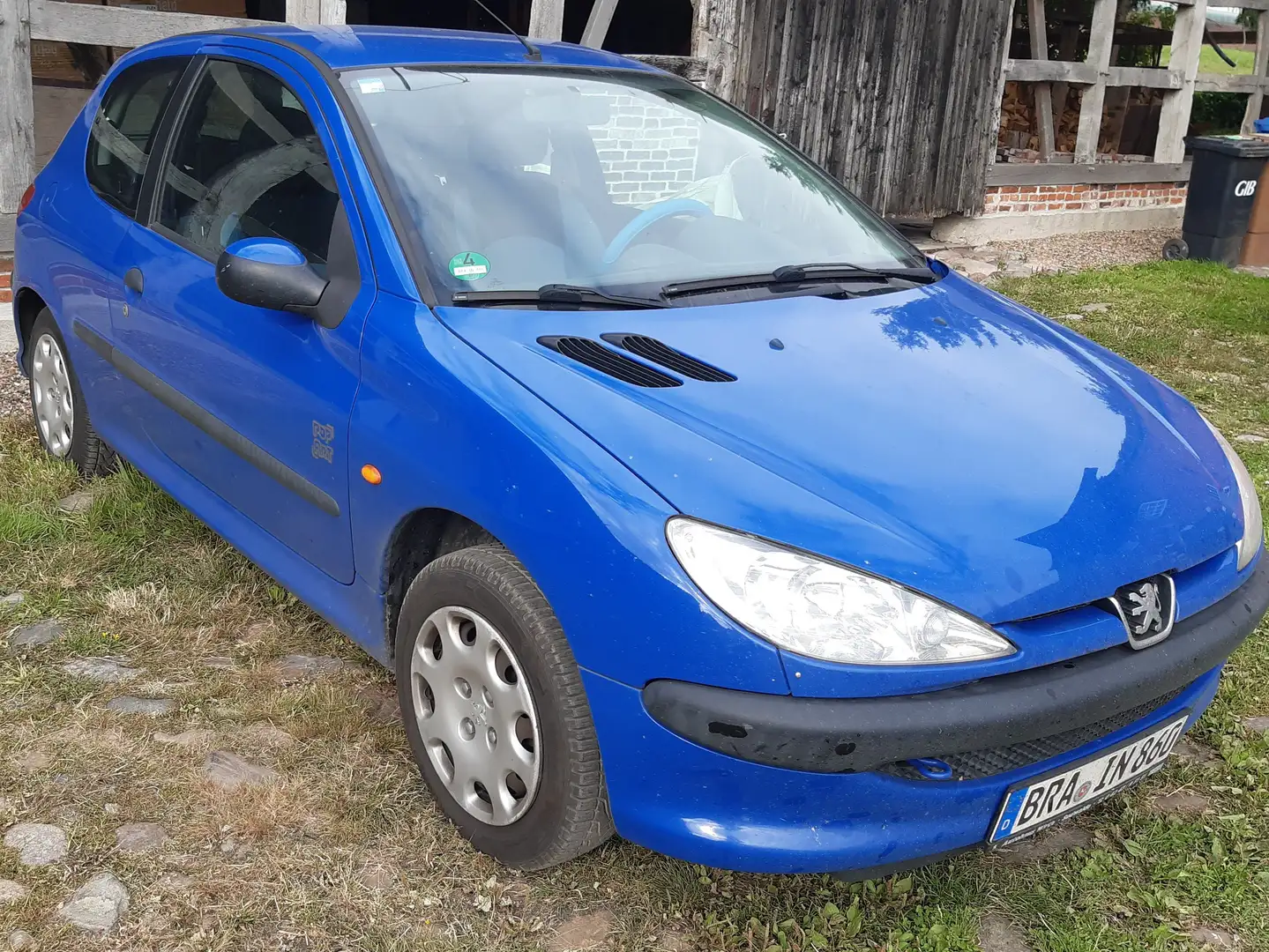 Peugeot 206 206 60 Pop Art Blau - 1