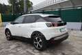 Peugeot 3008 3008 BlueHDi 130 S&S Allure Bianco - thumbnail 8