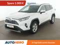 Toyota RAV 4 2.5 Hybrid 4x2 Business Edition Aut* NAVI*LED*ACC* Weiß - thumbnail 1