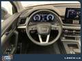 Audi Q5 SB/ADVANCED/40TDI/4x4/S-TRONIC Blue - thumbnail 10