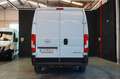 Opel Movano furgón base lig l3 Blanco - thumbnail 3