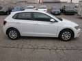 Volkswagen Polo Weiß - thumbnail 6