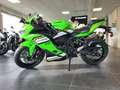 Kawasaki Ninja ZX-4RR Grün - thumbnail 2