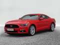 Ford Mustang 2.3 EcoBoost Ambiente+Leder+Distr+Navi Rot - thumbnail 3