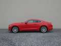 Ford Mustang 2.3 EcoBoost Ambiente+Leder+Distr+Navi Piros - thumbnail 9