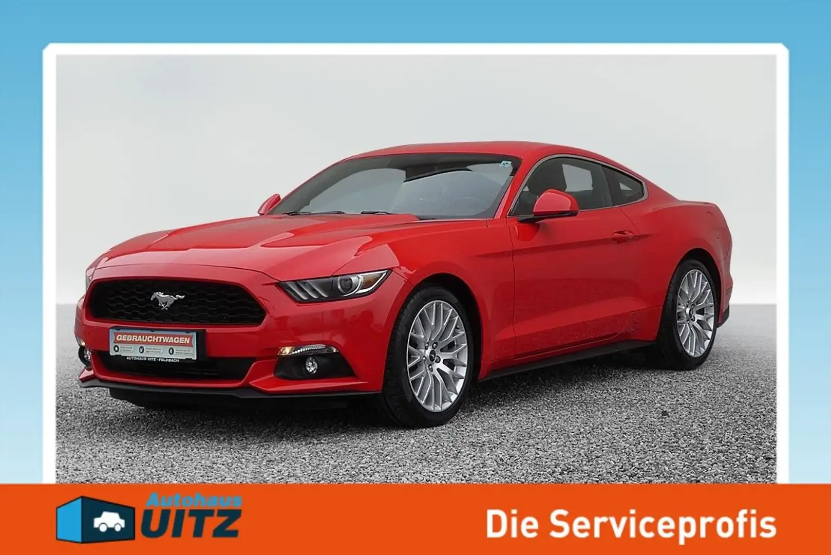 Ford Mustang 2.3 EcoBoost Ambiente+Leder+Distr+Navi Rot - 1
