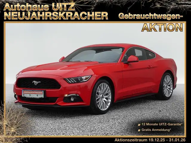 Ford Mustang 2.3 EcoBoost Ambiente+Leder+Distr+Navi