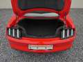 Ford Mustang 2.3 EcoBoost Ambiente+Leder+Distr+Navi Rot - thumbnail 11