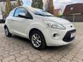 Ford Ka/Ka+ Champions Edition Blanc - thumbnail 4