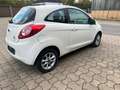 Ford Ka/Ka+ Champions Edition Blanc - thumbnail 5