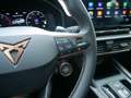 CUPRA Leon 2.0 TSI ACC LED PANO SUPER-SPORT BEATS Grau - thumbnail 17