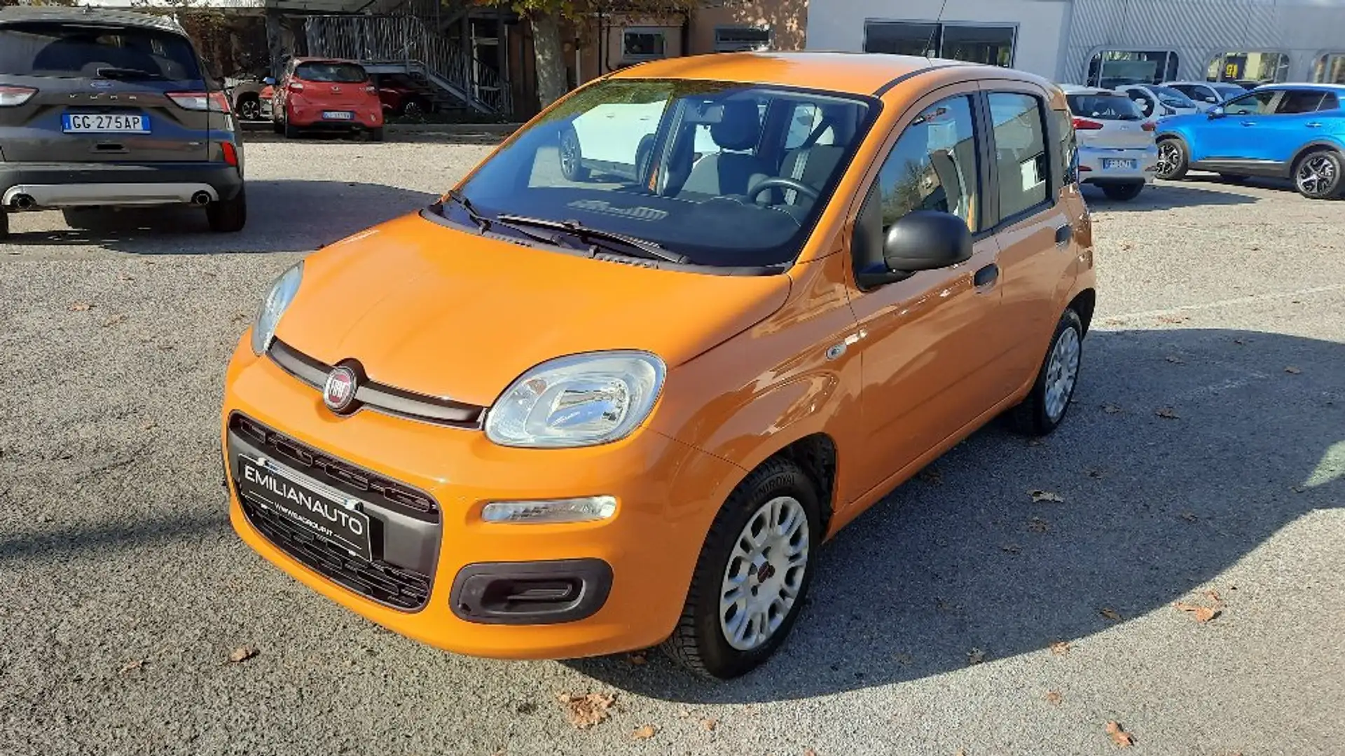 Fiat Panda Panda 1.2 Pop s&s 69cv my19 Arancione - 2