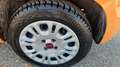 Fiat Panda Panda 1.2 Pop s&s 69cv my19 Arancione - thumbnail 7