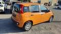 Fiat Panda Panda 1.2 Pop s&s 69cv my19 Arancione - thumbnail 5