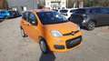 Fiat Panda Panda 1.2 Pop s&s 69cv my19 Arancione - thumbnail 1