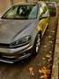 Volkswagen Golf Variant Alltrack 2.0 184cv Gris - thumbnail 5