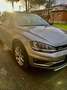 Volkswagen Golf Variant Alltrack 2.0 184cv Gris - thumbnail 9