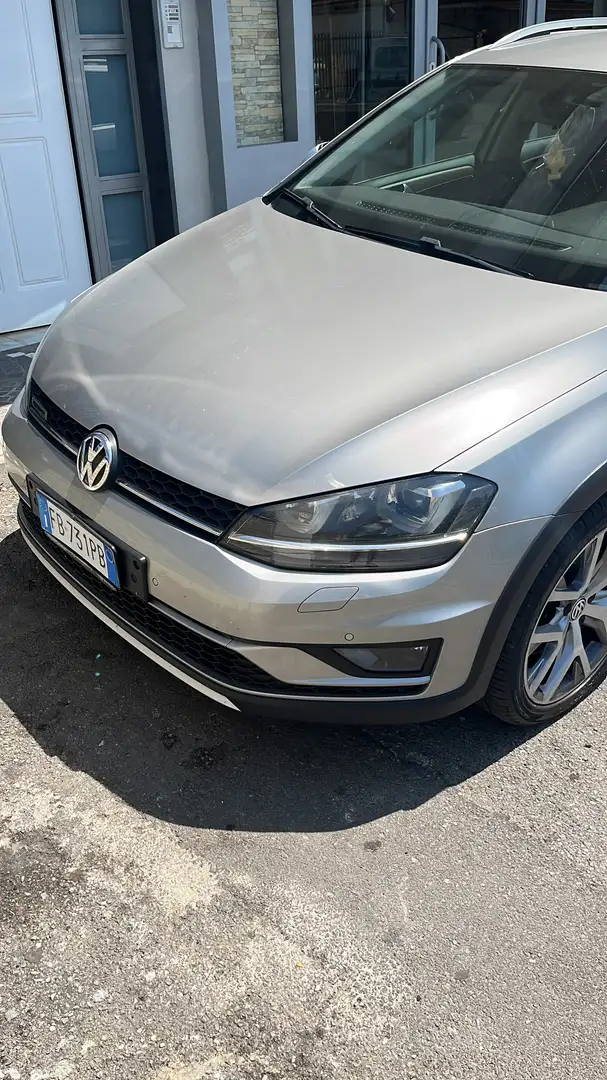 Volkswagen Golf Variant Alltrack 2.0 184cv Gris - 1
