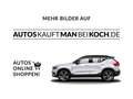 Volkswagen Caddy Maxi 2.0 TDI DSG 7 Sitze KAMERA TEMPOMAT Silber - thumbnail 15