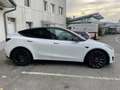 Tesla Model Y AWD 79kWh Performance - thumbnail 3