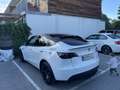 Tesla Model Y AWD 79kWh Performance - thumbnail 5