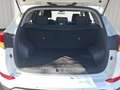 Hyundai TUCSON 1.6 TGDI Link Sky 4x2 176 Blanco - thumbnail 12