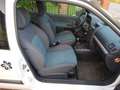 Renault Clio 1.2 16V Campus + ohne TüV + Export/Bastler+ Weiß - thumbnail 13