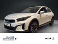 Kia XCeed XCEED 1.0T 100PS VISION Navi Weiß - thumbnail 1