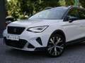 SEAT Arona 1.0 TSI Xperience 18"-LM ACC FACEL. LED Weiß - thumbnail 22